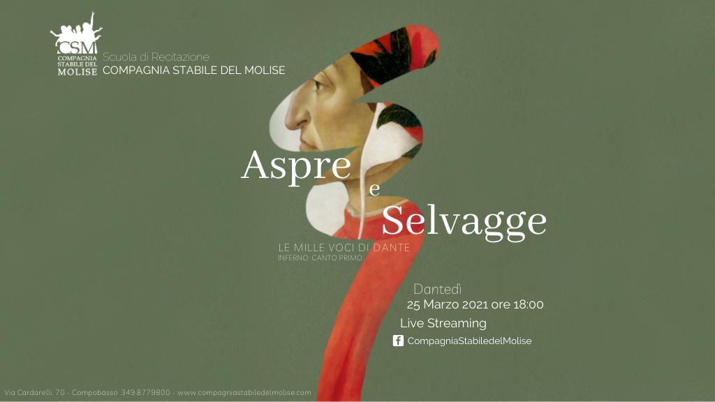 Aspre e selvagge. Le mille voci di Dante